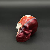 Half Head Skull